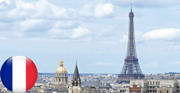 fance-768×397 fance-768x397